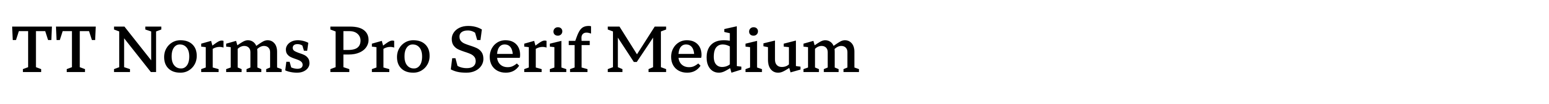 TT Norms Pro Serif Medium